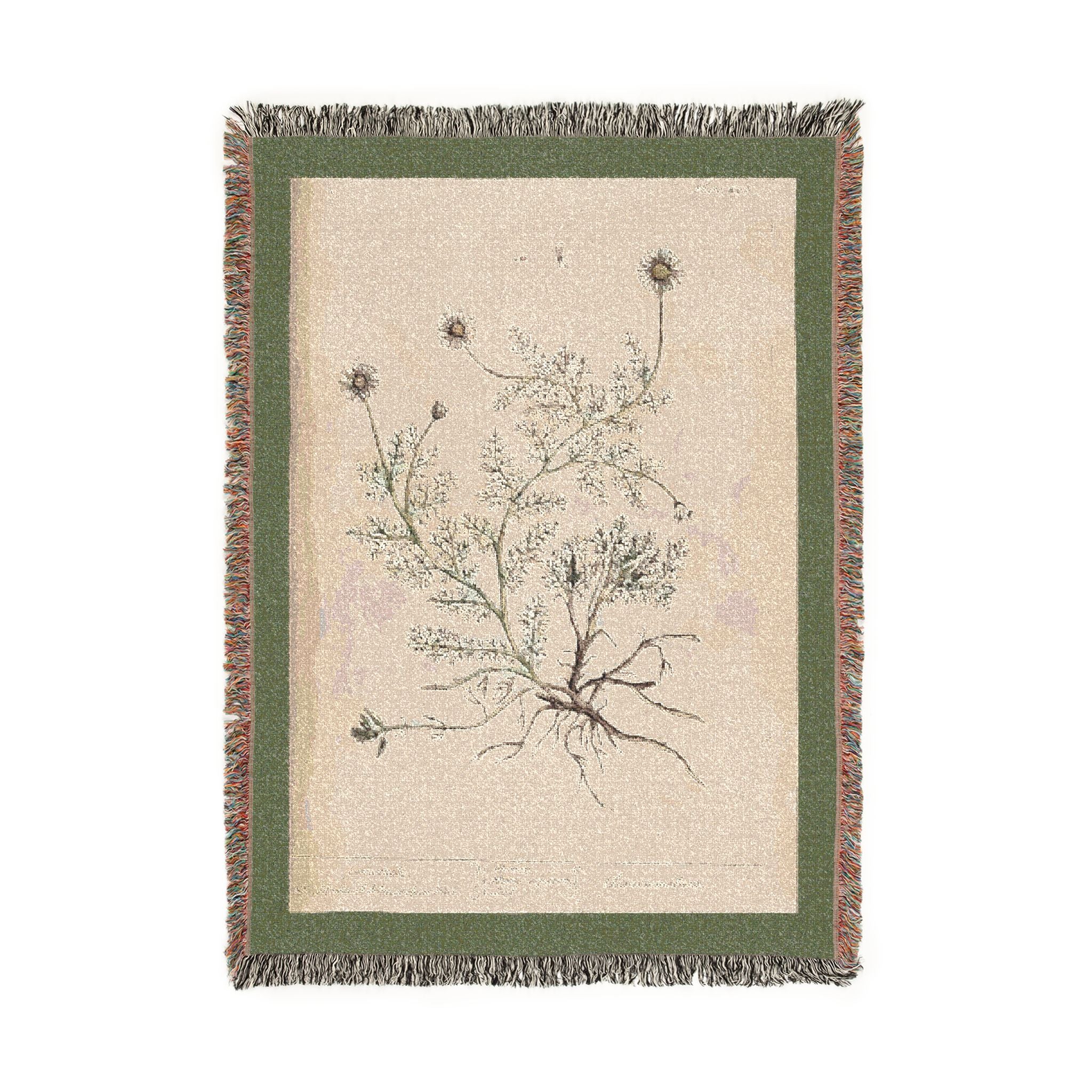 A Curious Herbal Camomile Woven Blanket, Elizabeth Blackwell, Vintage Botanical Art