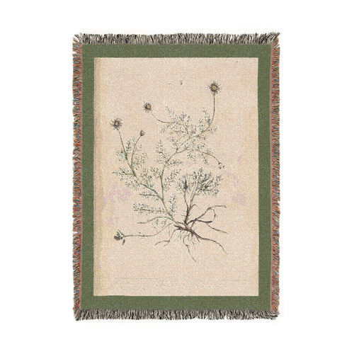 A Curious Herbal Camomile Woven Blanket, Elizabeth Blackwell, Vintage Botanical Art