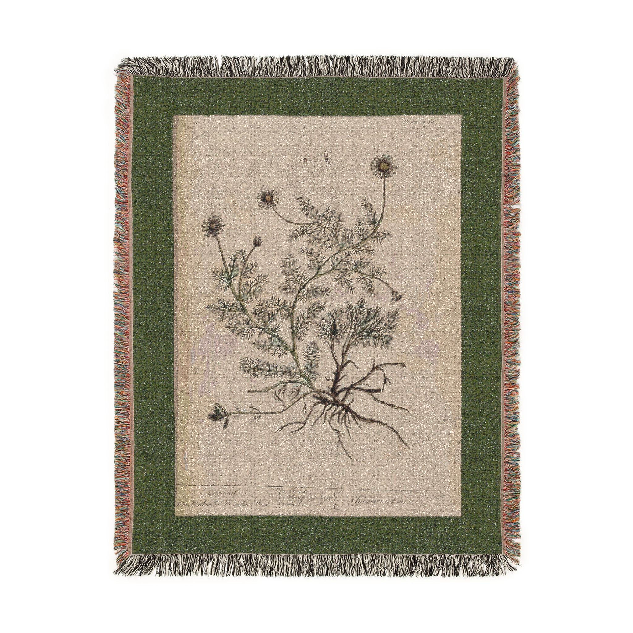 A Curious Herbal Camomile Woven Blanket, Elizabeth Blackwell, Vintage Botanical Art