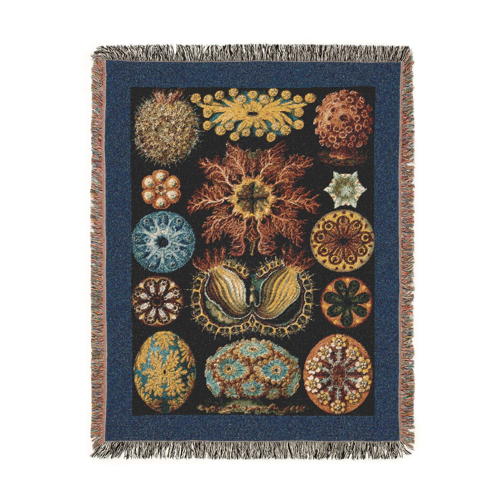 Ascidiae Sea Squirts Woven Blanket, Ernst Haeckel, Art Forms in Nature