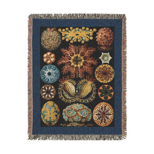 A rectangular woven blanket with fringed edges featuring Ascidiae (Sea Squirts) by Ernst Haeckel from Kunstformen der Natur (Art Forms in Nature). Within a blue border is a scientific illustration that brings together an extraordinary variety of ascidians, also known as sea squirts or tunicates on a dark background. Shown against a solid white background.
