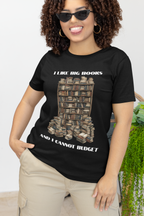 I Like Big Books And I Cannot Budget Graphic Tee, Book Lover T-shirt