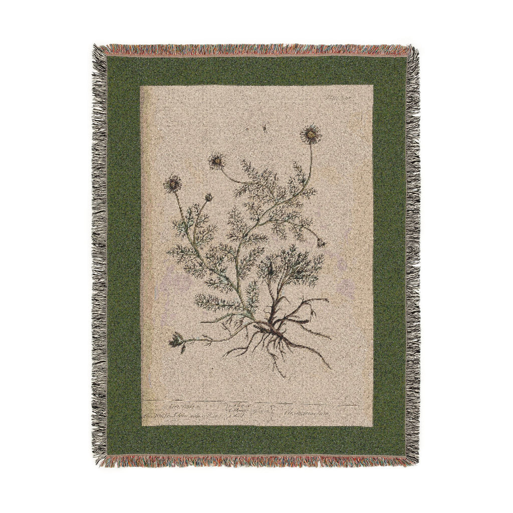 A Curious Herbal Camomile Woven Blanket, Elizabeth Blackwell, Vintage Botanical Art