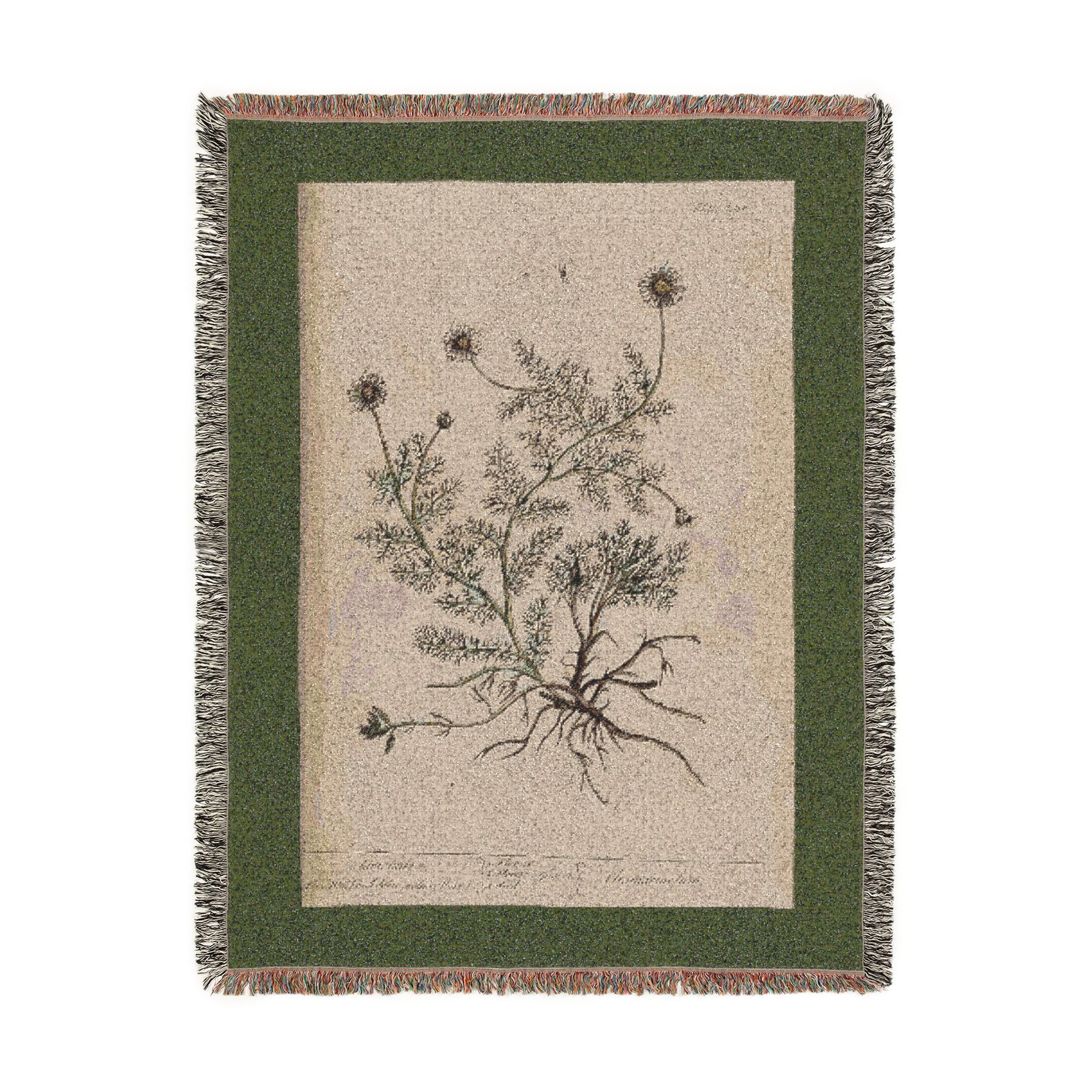 A Curious Herbal Camomile Woven Blanket, Elizabeth Blackwell, Vintage Botanical Art
