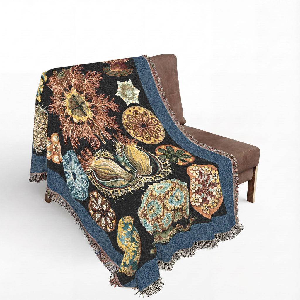 Ascidiae Sea Squirts Woven Blanket, Ernst Haeckel, Art Forms in Nature