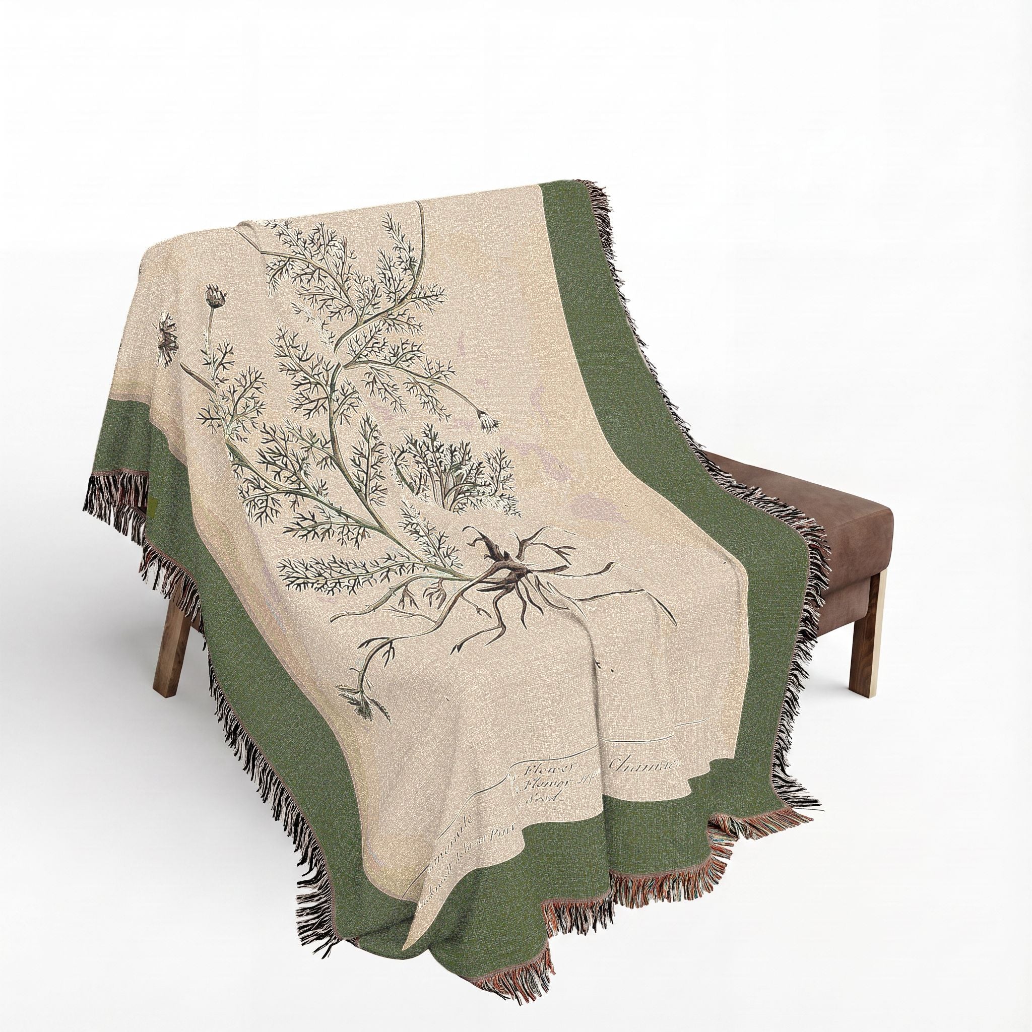 A Curious Herbal Camomile Woven Blanket, Elizabeth Blackwell, Vintage Botanical Art