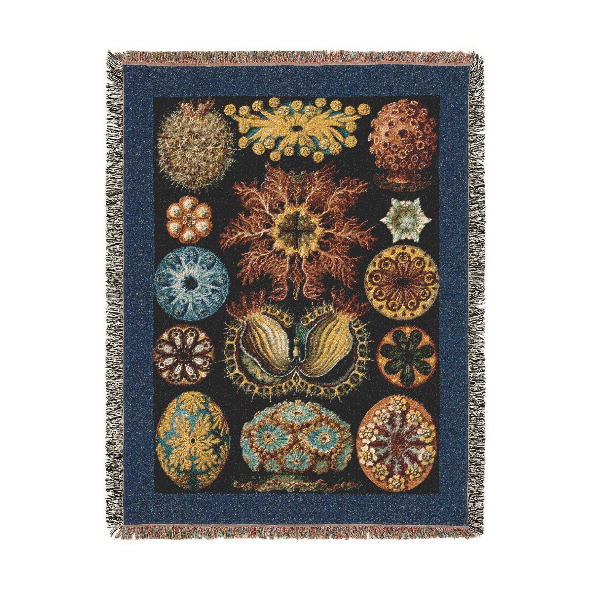 Ascidiae Sea Squirts Woven Blanket, Ernst Haeckel, Art Forms in Nature