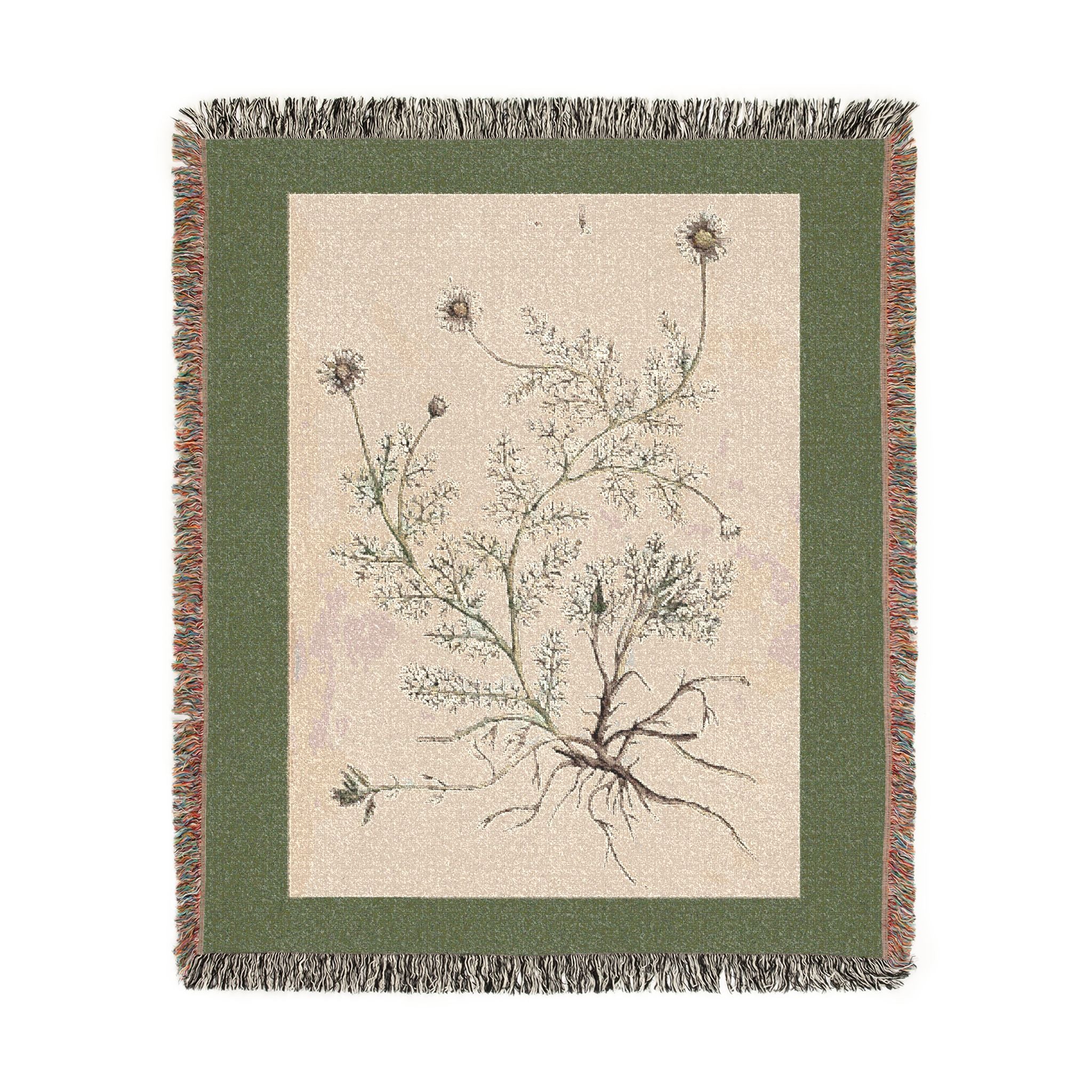 A Curious Herbal Camomile Woven Blanket, Elizabeth Blackwell, Vintage Botanical Art