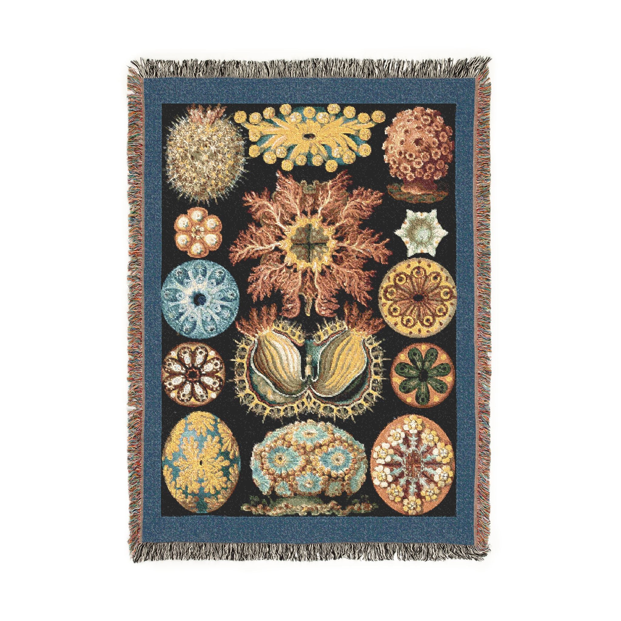 Ascidiae Sea Squirts Woven Blanket, Ernst Haeckel, Art Forms in Nature