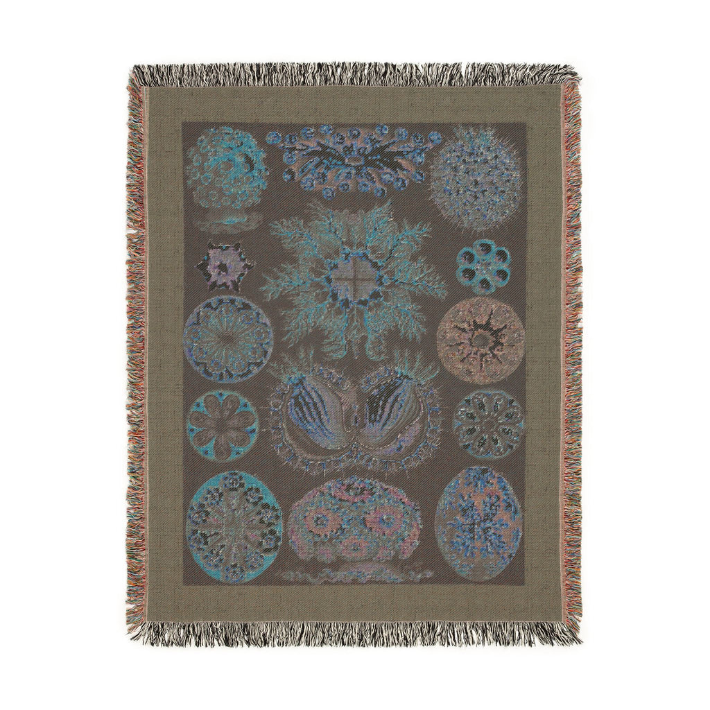 Ascidiae Sea Squirts Woven Blanket, Ernst Haeckel, Art Forms in Nature